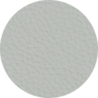 Preview of Silver Grey